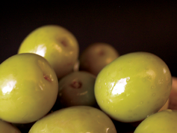 aceitunas Receta de aceitunas