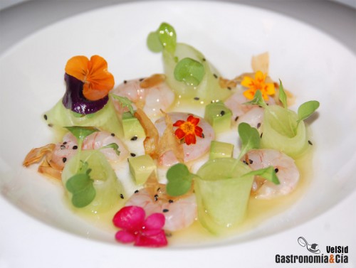 carpaccio de pepino y gambas Carpaccio de pepino y gambas